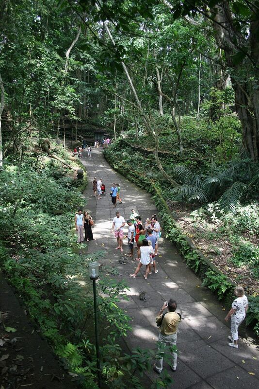 Monkey Forest
