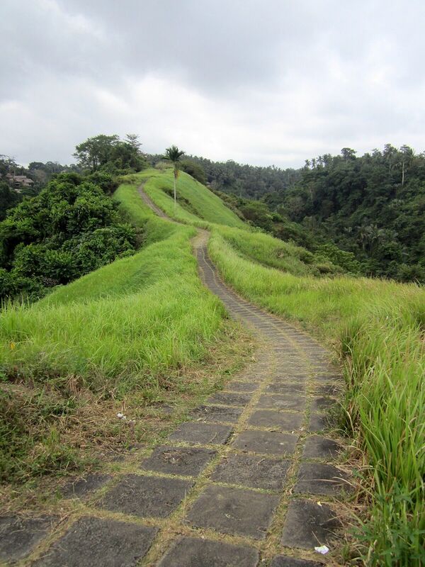 Campuhan ridge walk Ubud Bali 20120827c